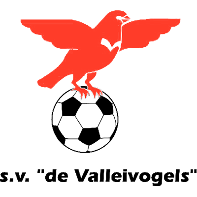 Logo Valleivogels