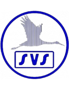 Logo SVS