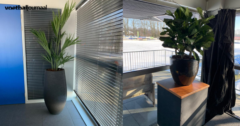 NIEUWE BEPLANTING KANTINE S.V. CAPELLE