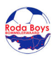 Roda Boys