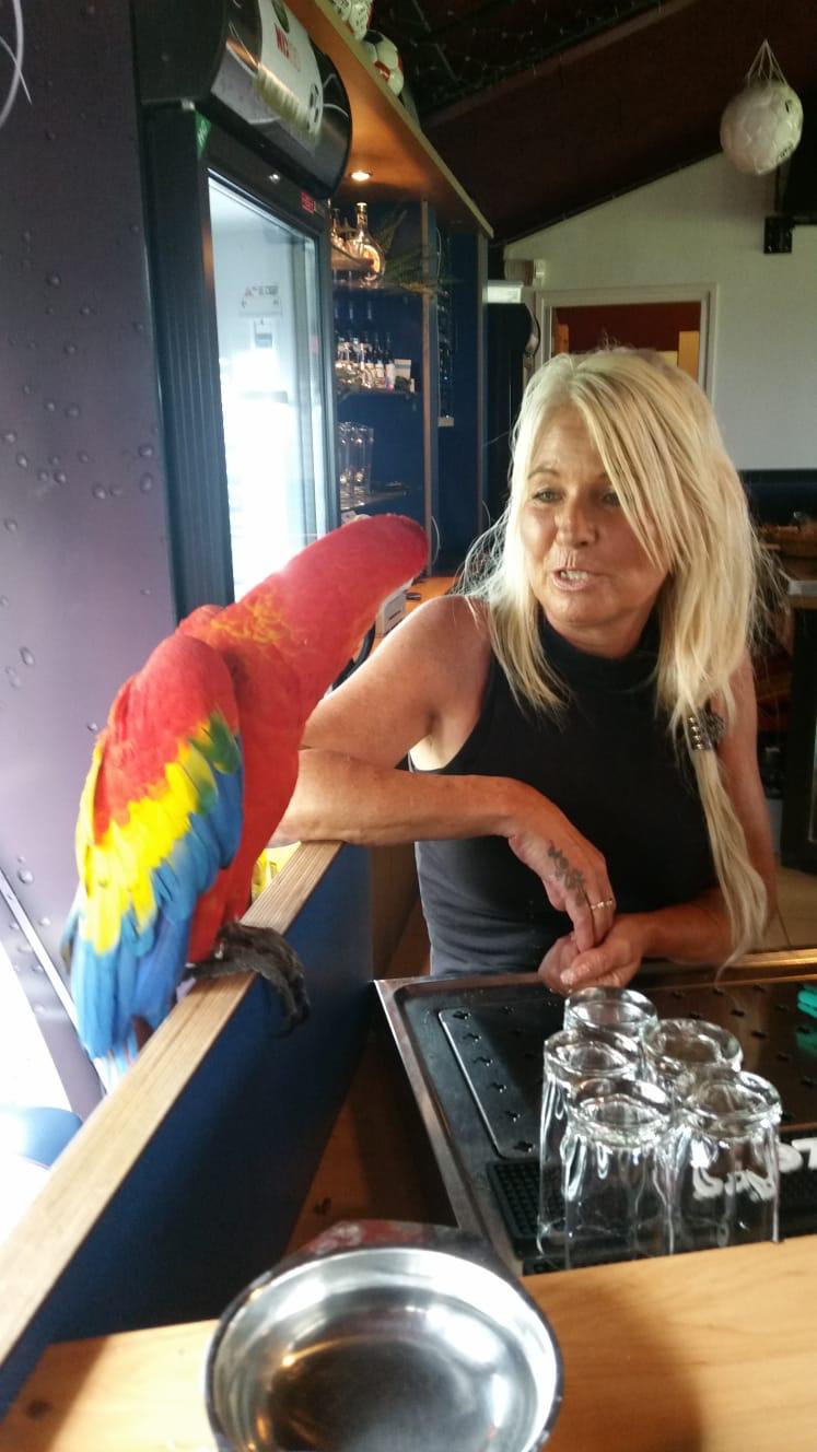 ‘Die komen nu met hun eigen kinderen naar de club’