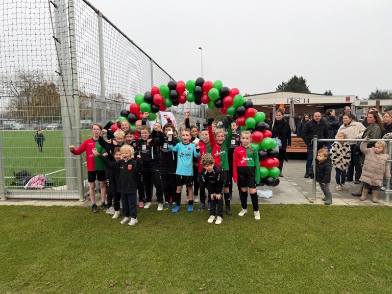 Bij DSS’14 groeit de toekomst stap voor stap: ‘Spelplezier staat hier altijd voorop’